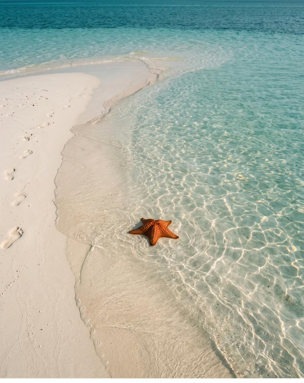 Islas de San Bernardo